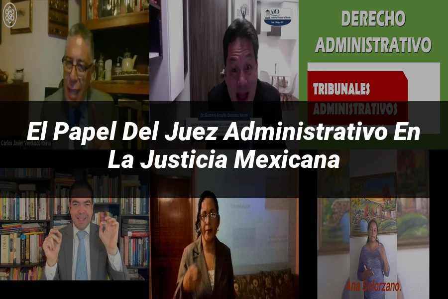 "El papel del juez administrativo en la justicia mexicana"