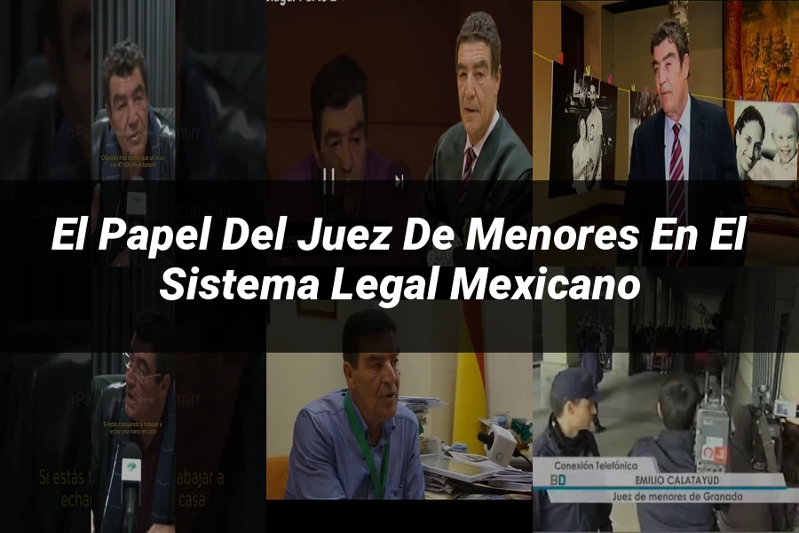 "El papel del juez de menores en el sistema legal mexicano"