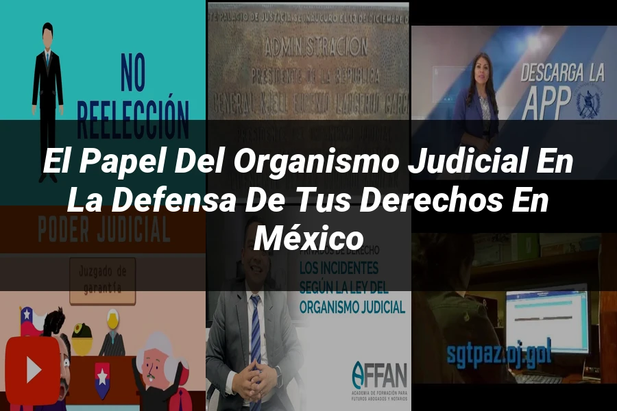 "El papel del organismo judicial en la defensa de tus derechos en México"