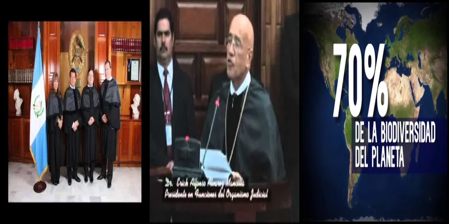 "El papel del organismo judicial en la defensa de tus derechos en México"