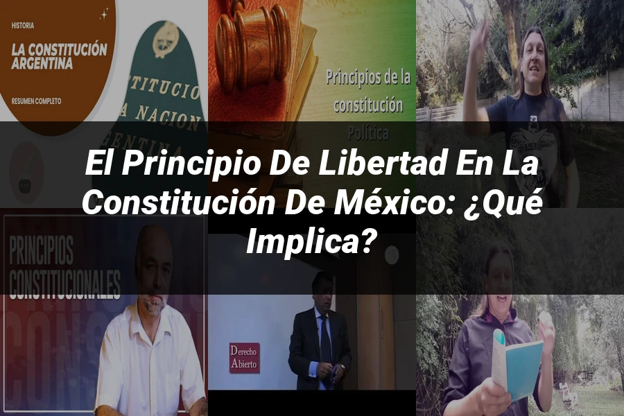 "El principio de libertad en la Constitución de México: ¿Qué implica?"