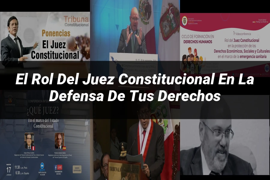 "El rol del juez constitucional en la defensa de tus derechos"