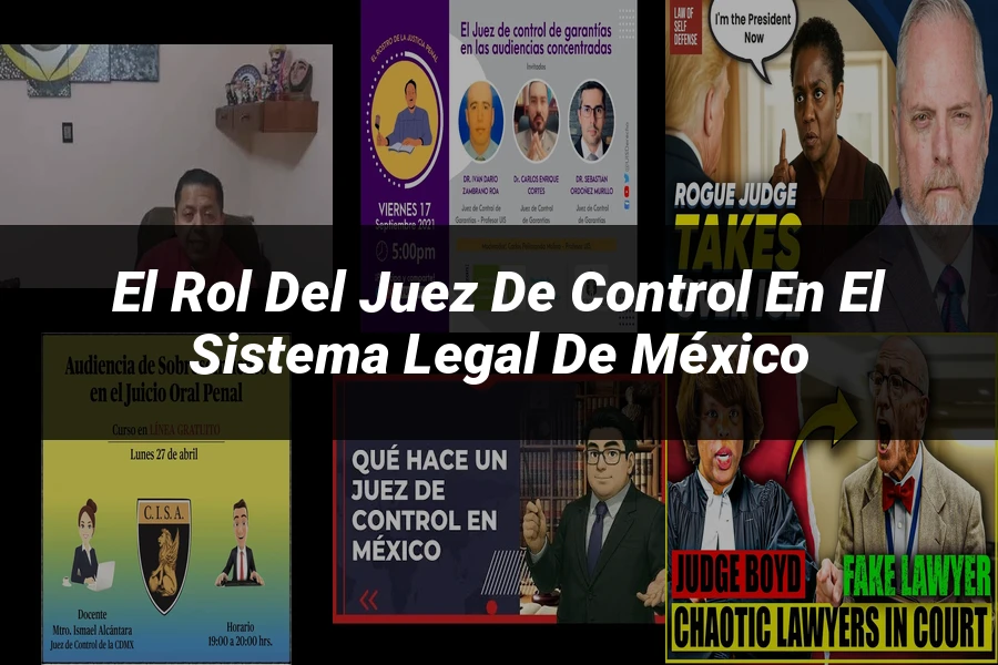 "El rol del juez de control en el sistema legal de México"