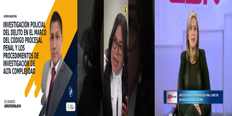 "Entendiendo el Artículo 295 del Código Procesal Penal en México"