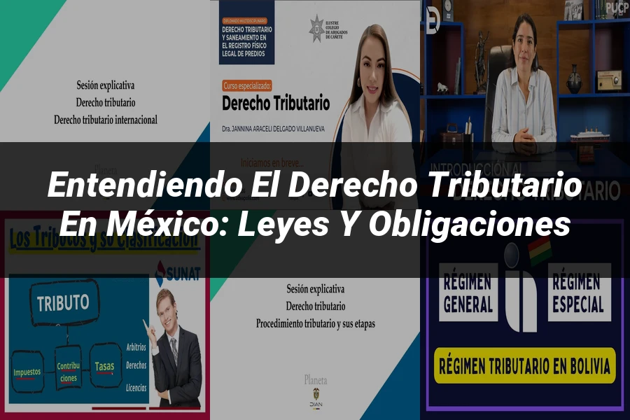 "Entendiendo el Derecho Tributario en México: Leyes y Obligaciones"