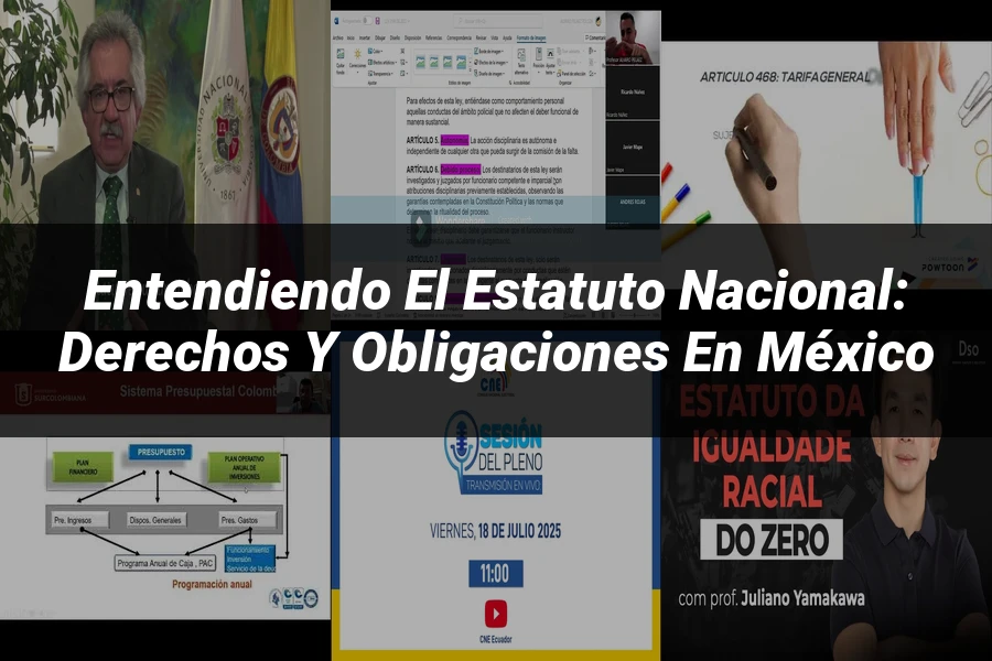 "Entendiendo el Estatuto Nacional: Derechos y Obligaciones en México"