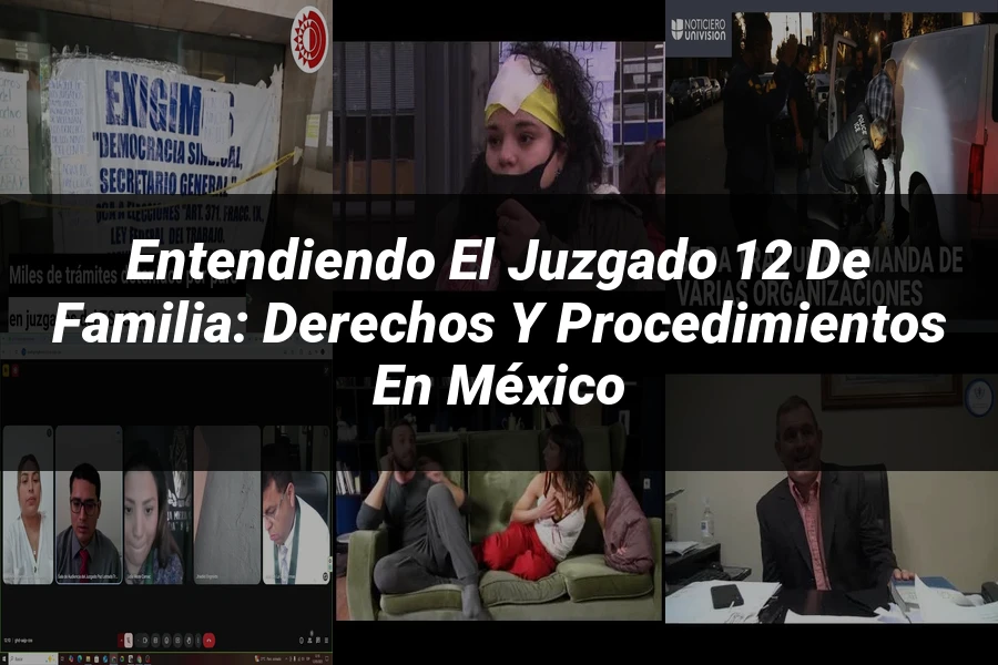 "Entendiendo el Juzgado 12 de Familia: Derechos y Procedimientos en México"