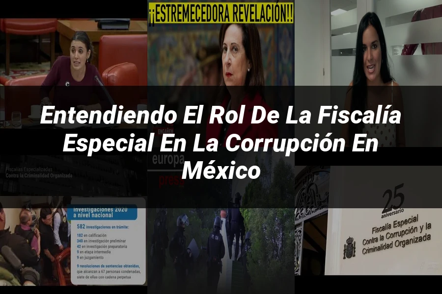 "Entendiendo el Rol de la Fiscalía Especial en la Corrupción en México"