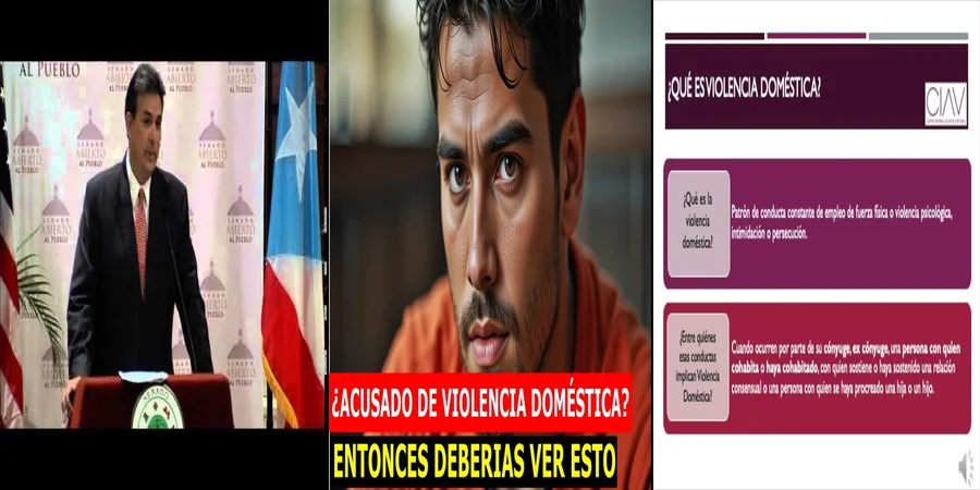 "Entendiendo la Ley 54 sobre violencia doméstica en México"