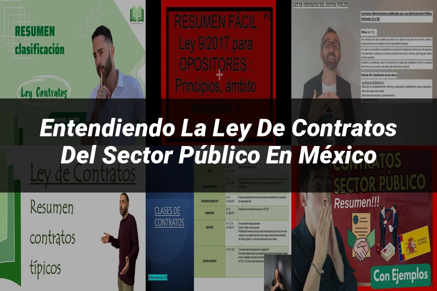 "Entendiendo la Ley de Contratos del Sector Público en México"