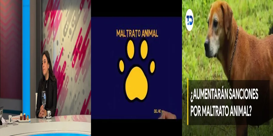 "Entendiendo la Ley de Protección Animal en México"