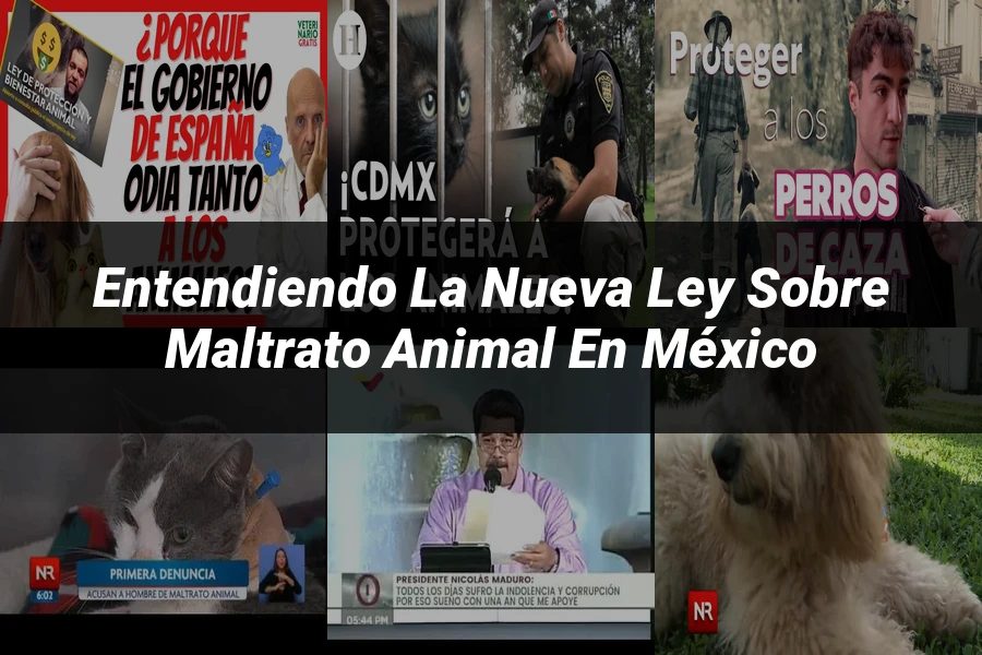 "Entendiendo la Nueva Ley sobre Maltrato Animal en México"