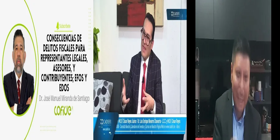 "Entendiendo los delitos fiscales en el contexto legal de México"