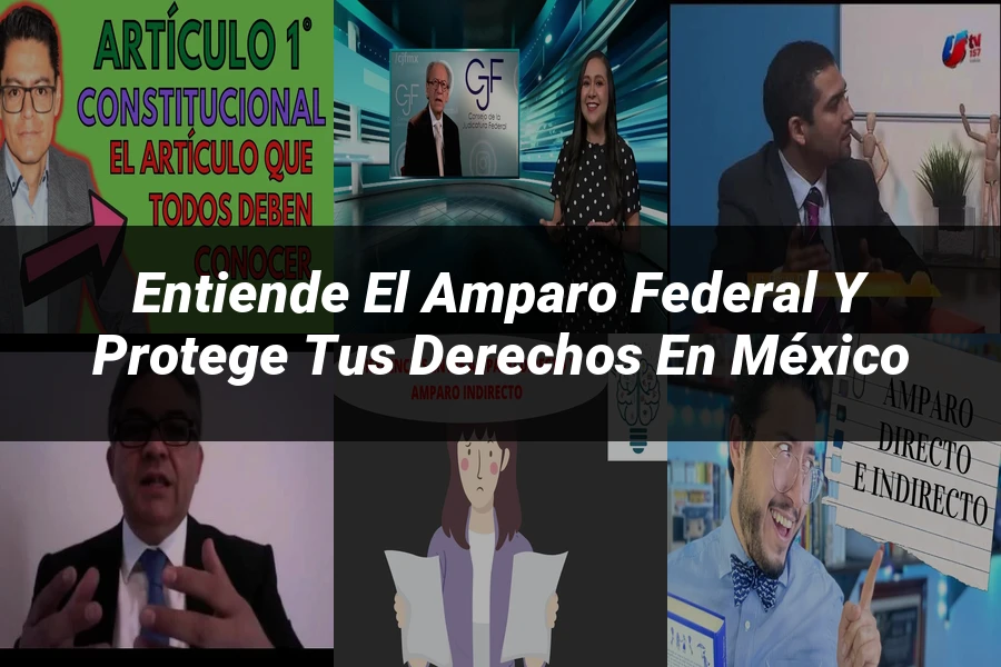 "Entiende el Amparo Federal y Protege Tus Derechos en México"