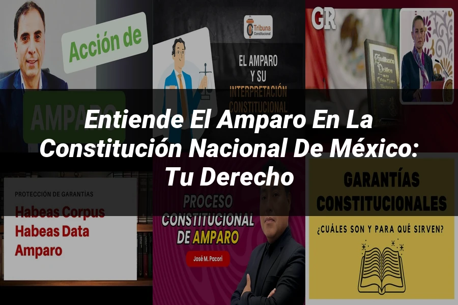 "Entiende el Amparo en la Constitución Nacional de México: Tu Derecho"