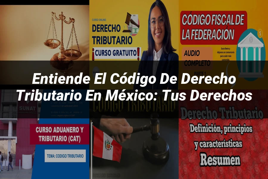 "Entiende el Código de Derecho Tributario en México: Tus Derechos"