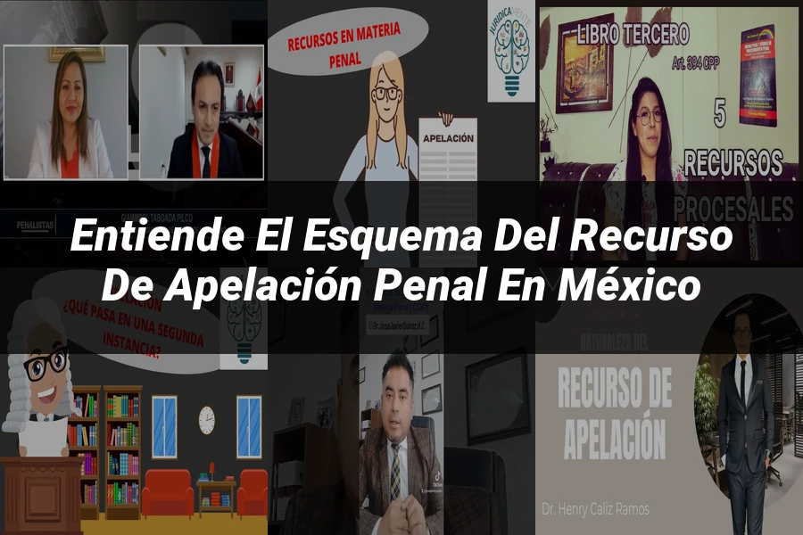 "Entiende el Esquema del Recurso de Apelación Penal en México"