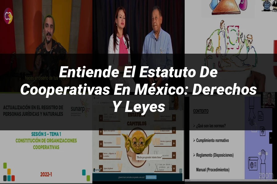 "Entiende el Estatuto de Cooperativas en México: Derechos y Leyes"