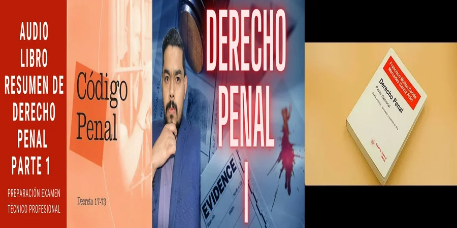 "Entiende el Libro Penal General de México y Protege tus Derechos"