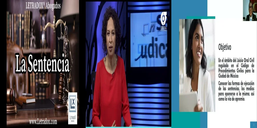 "Entiende el Proceso en el Juzgado Civil de Ejecución de Sentencias en