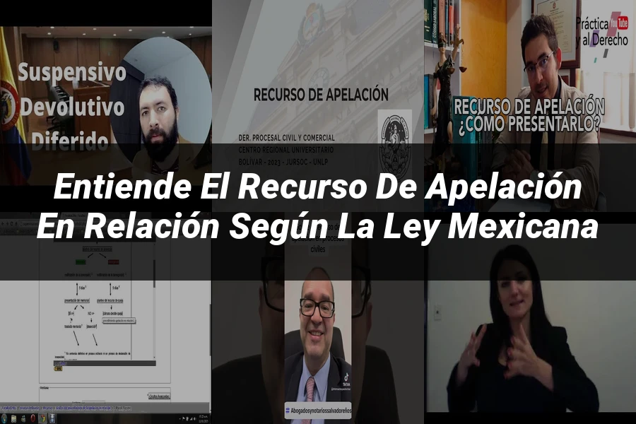 "Entiende el Recurso de Apelación en Relación según la Ley Mexicana"