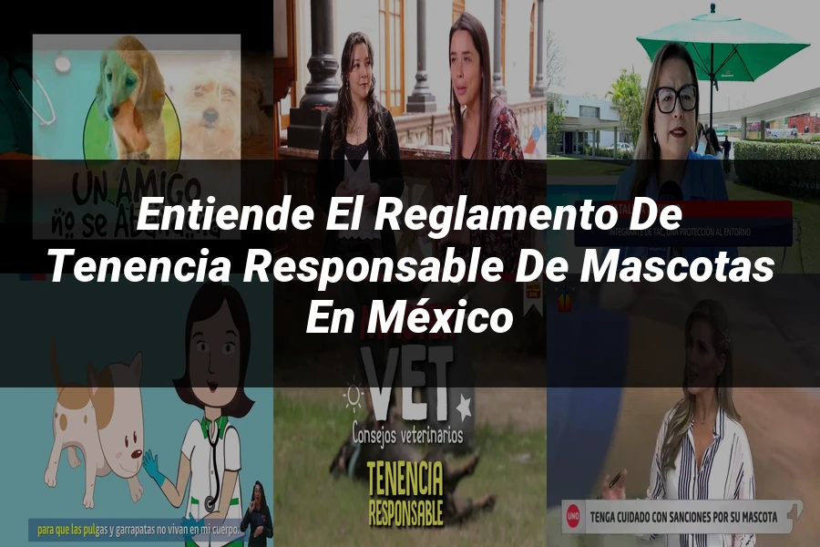"Entiende el Reglamento de Tenencia Responsable de Mascotas en México"