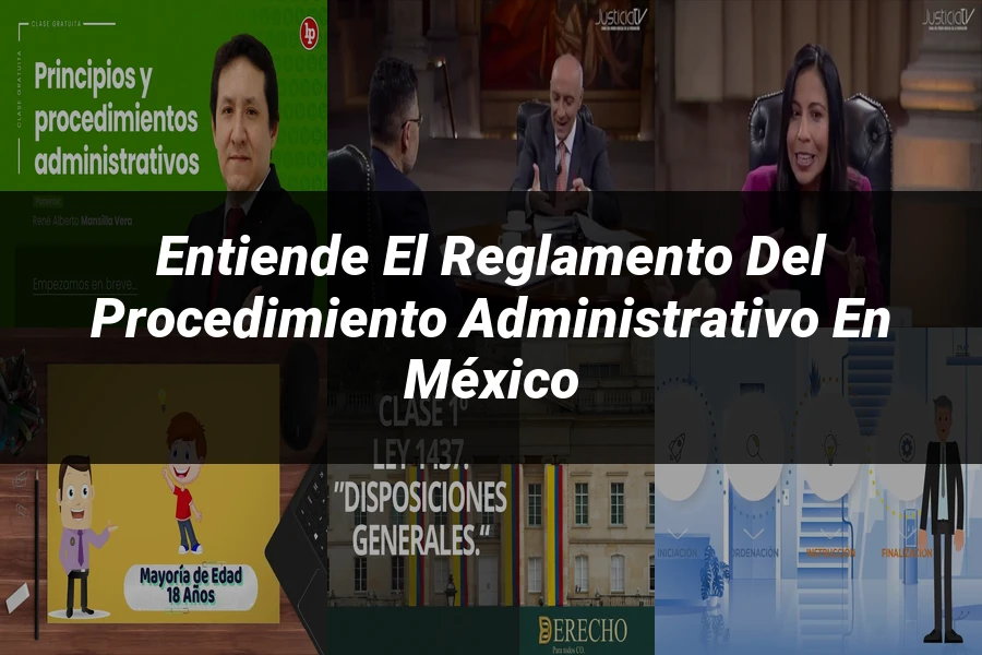 "Entiende el Reglamento del Procedimiento Administrativo en México"