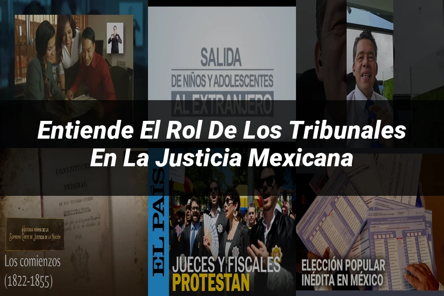 "Entiende el Rol de los Tribunales en la Justicia Mexicana"