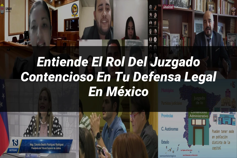 "Entiende el Rol del Juzgado Contencioso en tu Defensa Legal en México"