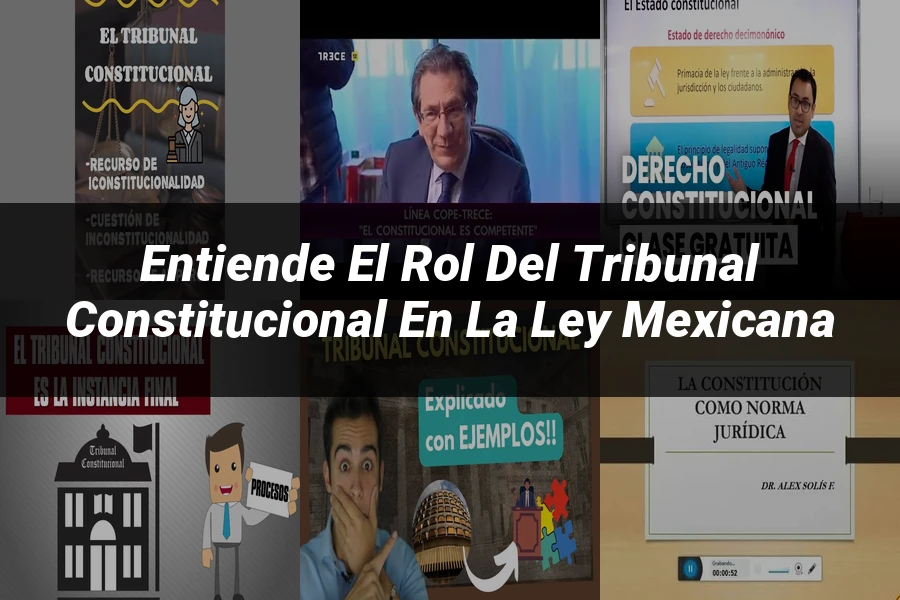 "Entiende el Rol del Tribunal Constitucional en la Ley Mexicana"