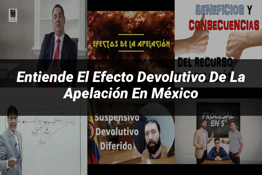 "Entiende el efecto devolutivo de la apelación en México"
