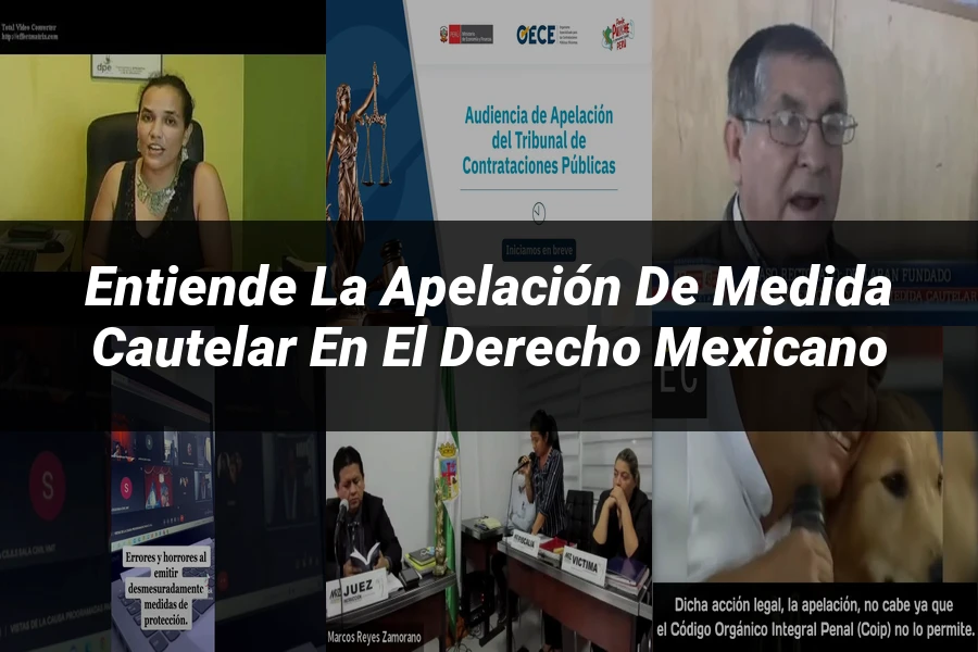 "Entiende la Apelación de Medida Cautelar en el Derecho Mexicano"