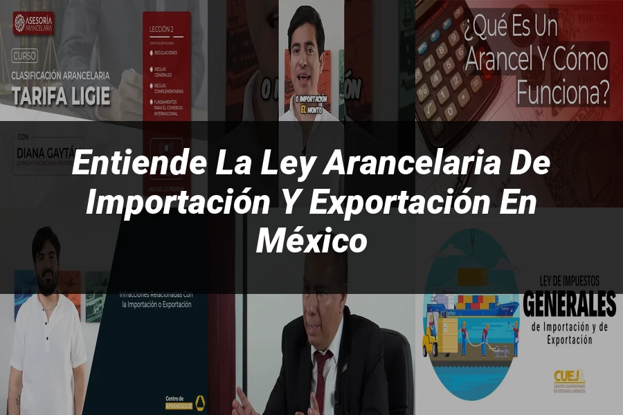 "Entiende la Ley Arancelaria de Importación y Exportación en México"