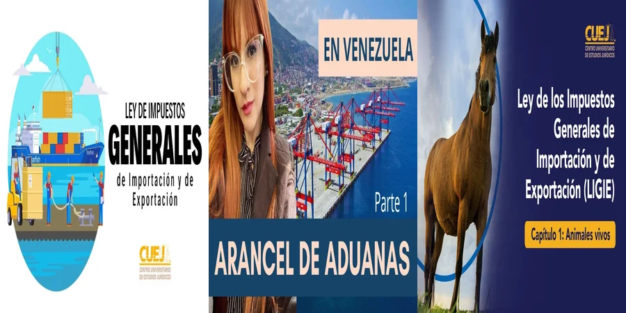 "Entiende la Ley Arancelaria de Importación y Exportación en México"