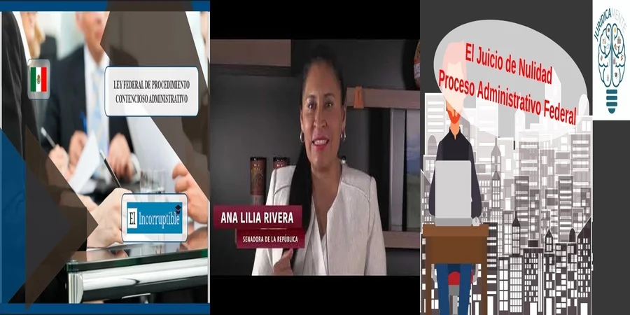 "Entiende la Ley Federal de Procedimiento Administrativo en México"