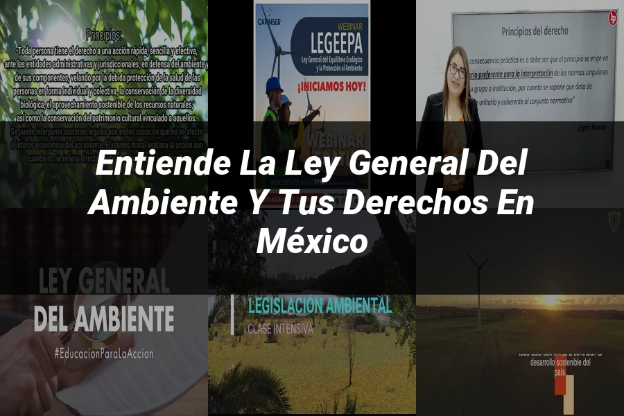 "Entiende la Ley General del Ambiente y tus Derechos en México"