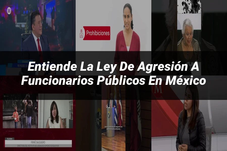 "Entiende la Ley de Agresión a Funcionarios Públicos en México"