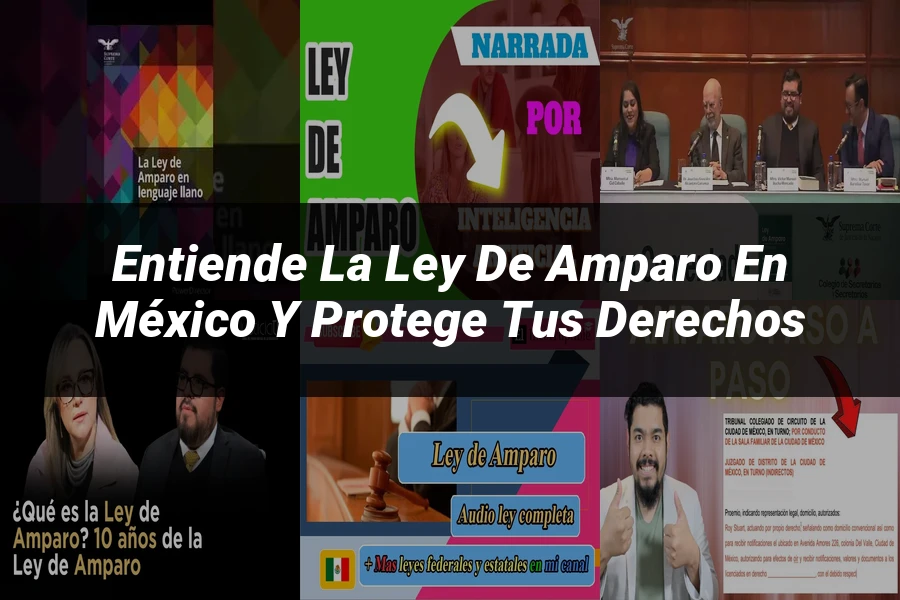 "Entiende la Ley de Amparo en México y Protege tus Derechos"