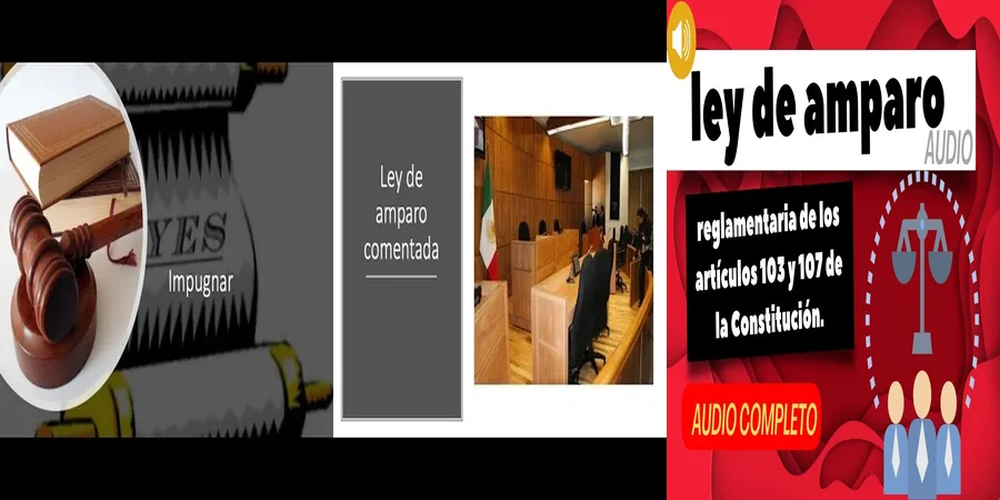 "Entiende la Ley de Amparo y Defiende tus Derechos en México"