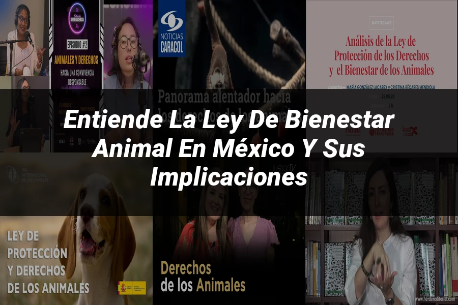 "Entiende la Ley de Bienestar Animal en México y sus Implicaciones"