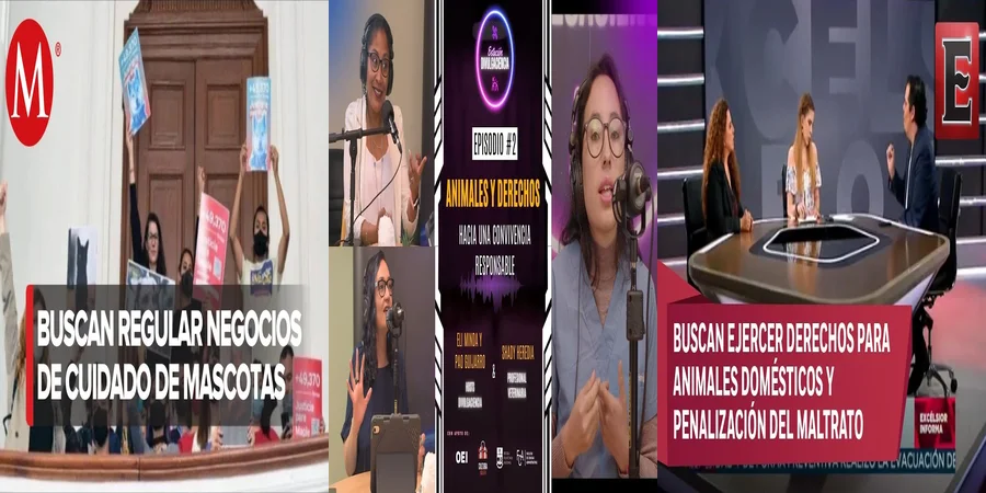 "Entiende la Ley de Bienestar Animal en México y sus Implicaciones"