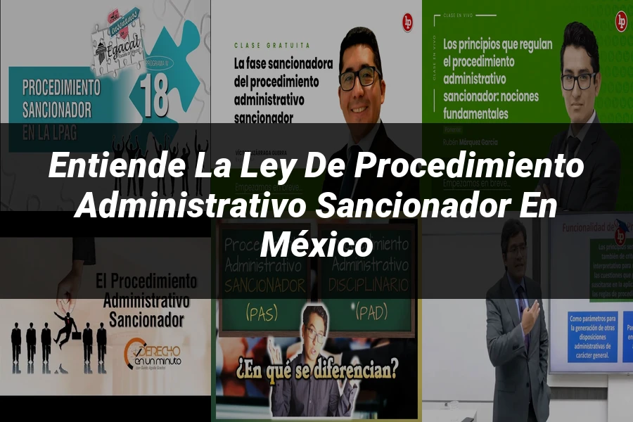 "Entiende la Ley de Procedimiento Administrativo Sancionador en México"