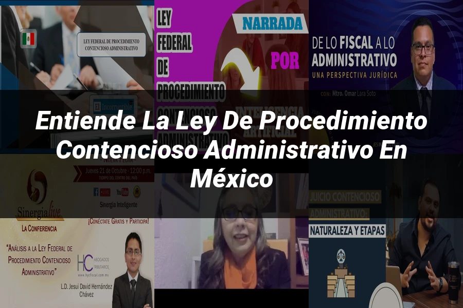 "Entiende la Ley de Procedimiento Contencioso Administrativo en México"