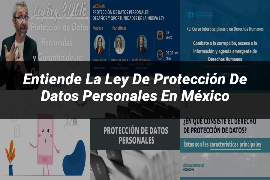 "Entiende la Ley de Protección de Datos Personales en México"