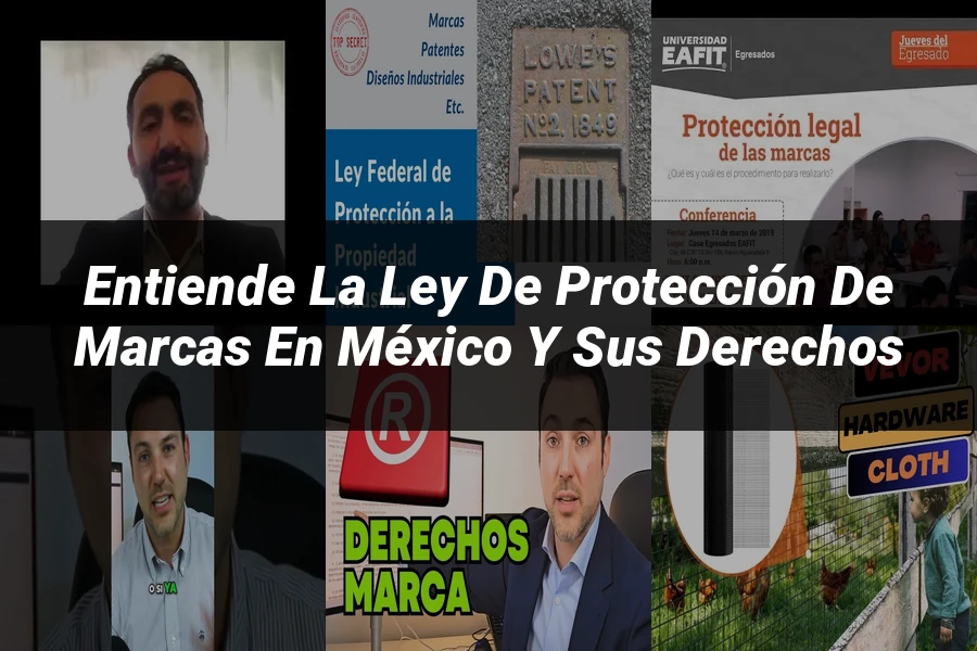 "Entiende la Ley de Protección de Marcas en México y sus Derechos"