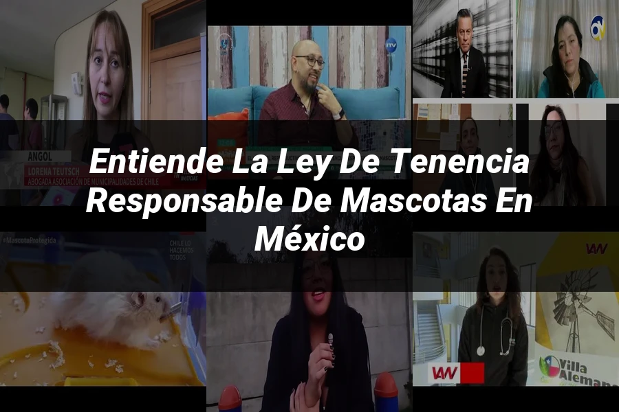"Entiende la Ley de Tenencia Responsable de Mascotas en México"