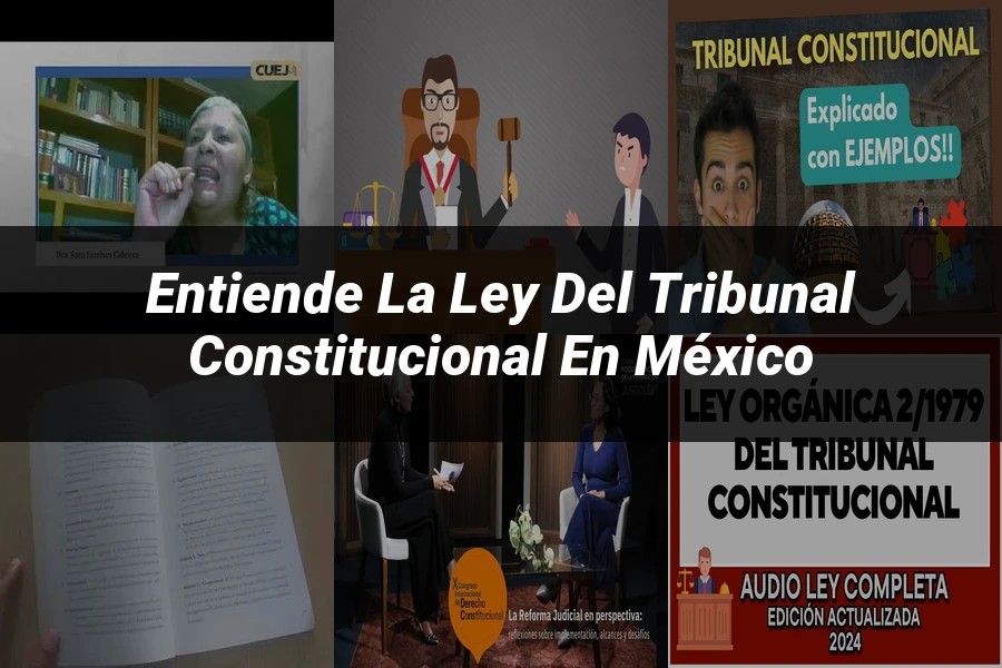 "Entiende la Ley del Tribunal Constitucional en México"