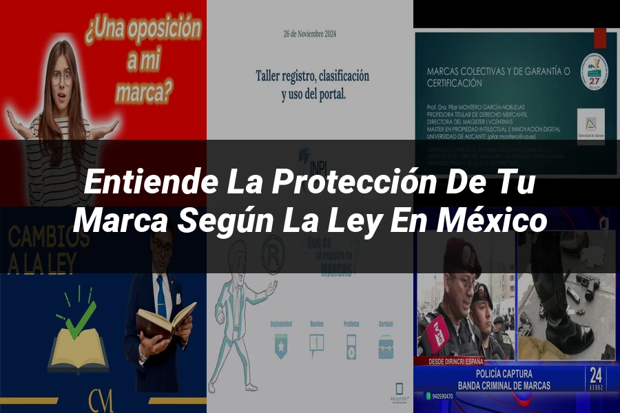 "Entiende la Protección de tu Marca según la Ley en México"