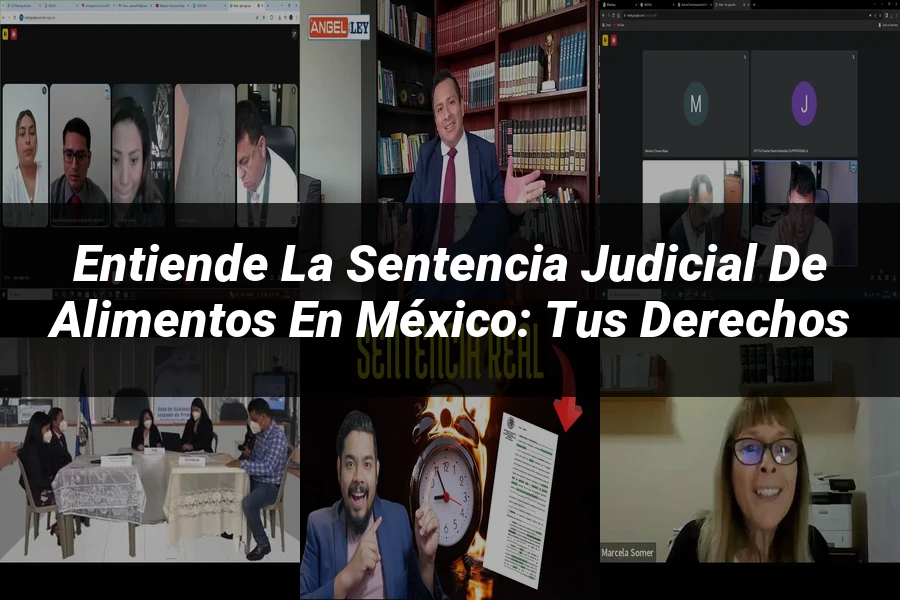"Entiende la Sentencia Judicial de Alimentos en México: Tus Derechos"