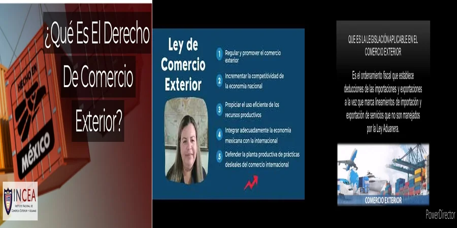 "Entiende las Leyes de Comercio Exterior en México y sus Implicaciones"